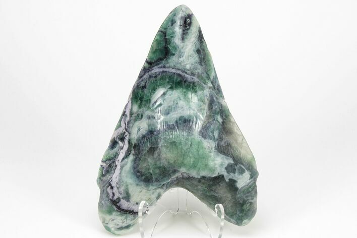7"+ Realistic Carved Green/Purple Fluorite Megalodon Tooth Replica - Photo 1